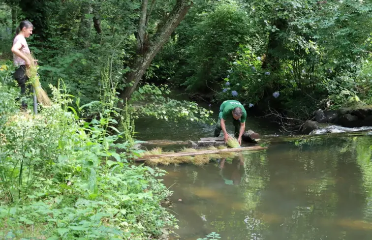 Atividade do linho, no rio, no Parque Biológico de Gaia.